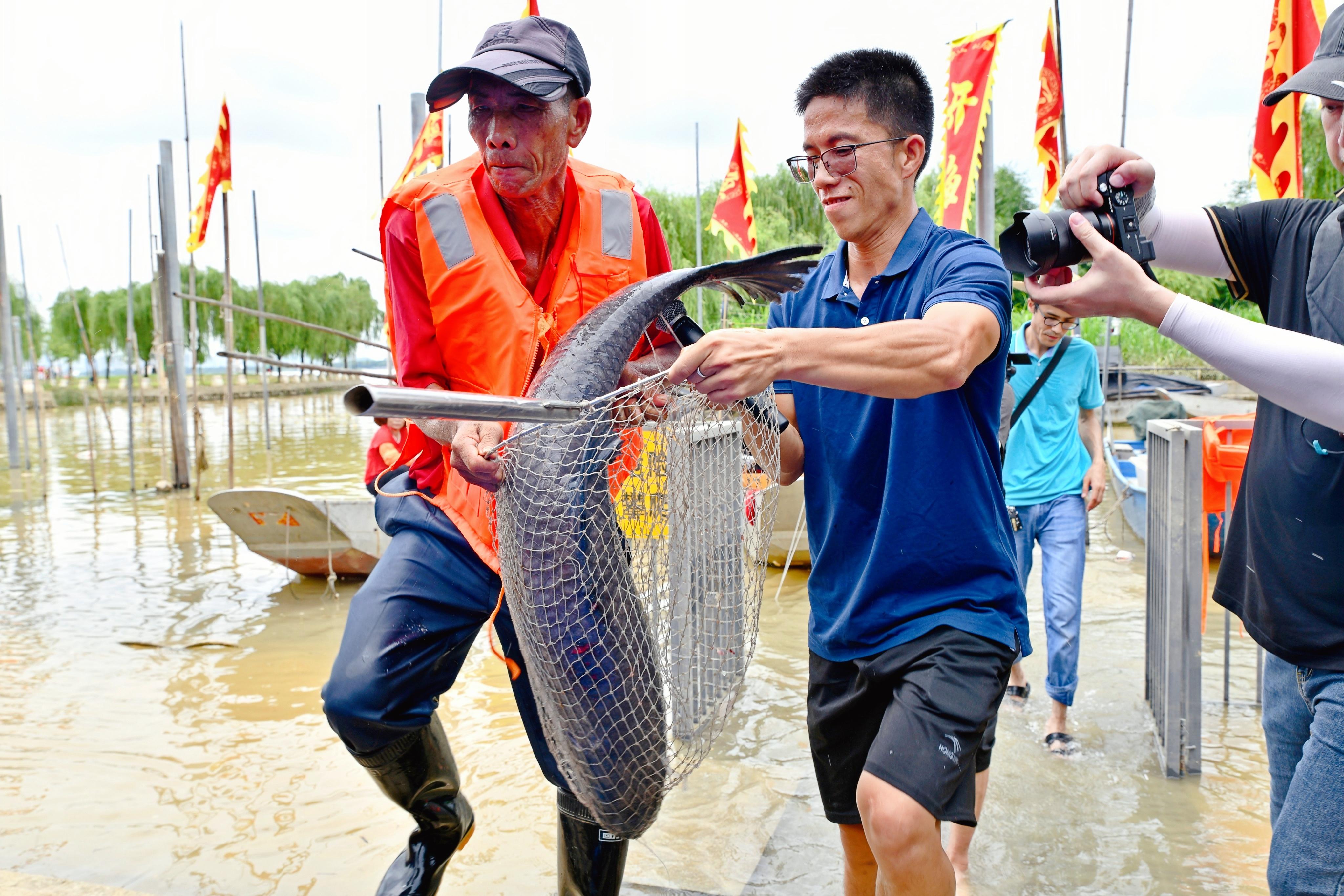 漁民“養(yǎng)叔”捕撈到超30斤的巨型青魚。佛山市南海區(qū)九江鎮(zhèn)宣傳文體旅游辦供圖